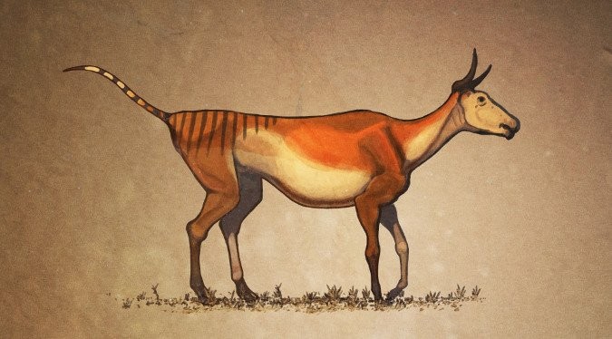 Cow Reconstruction